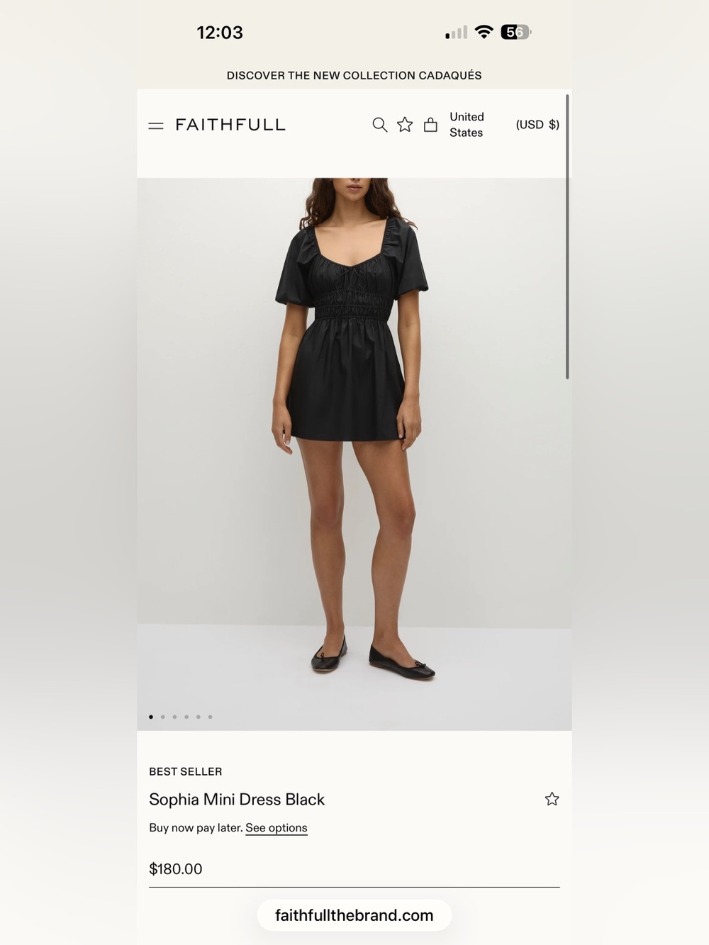 Faithful the Brand Sophia Mini Dress